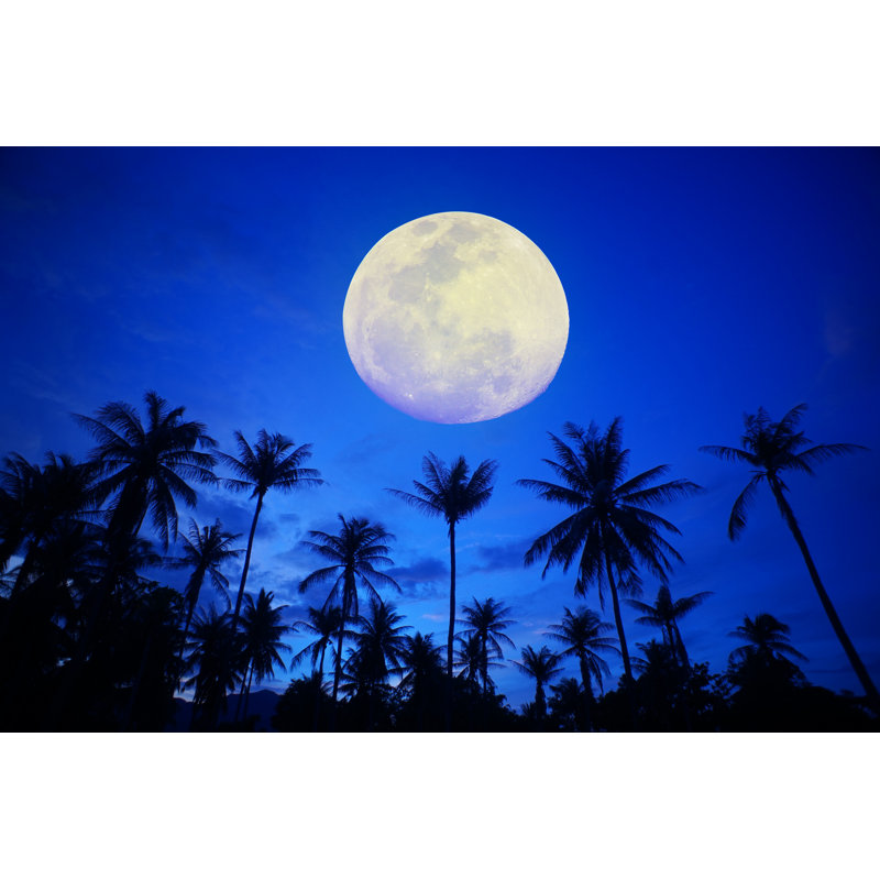 Coconut Tree With Moon - Wrapped Canvas Print, 30cm H x 46cm W x 3.8cm D