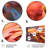 Coastal Animals Wall Decor