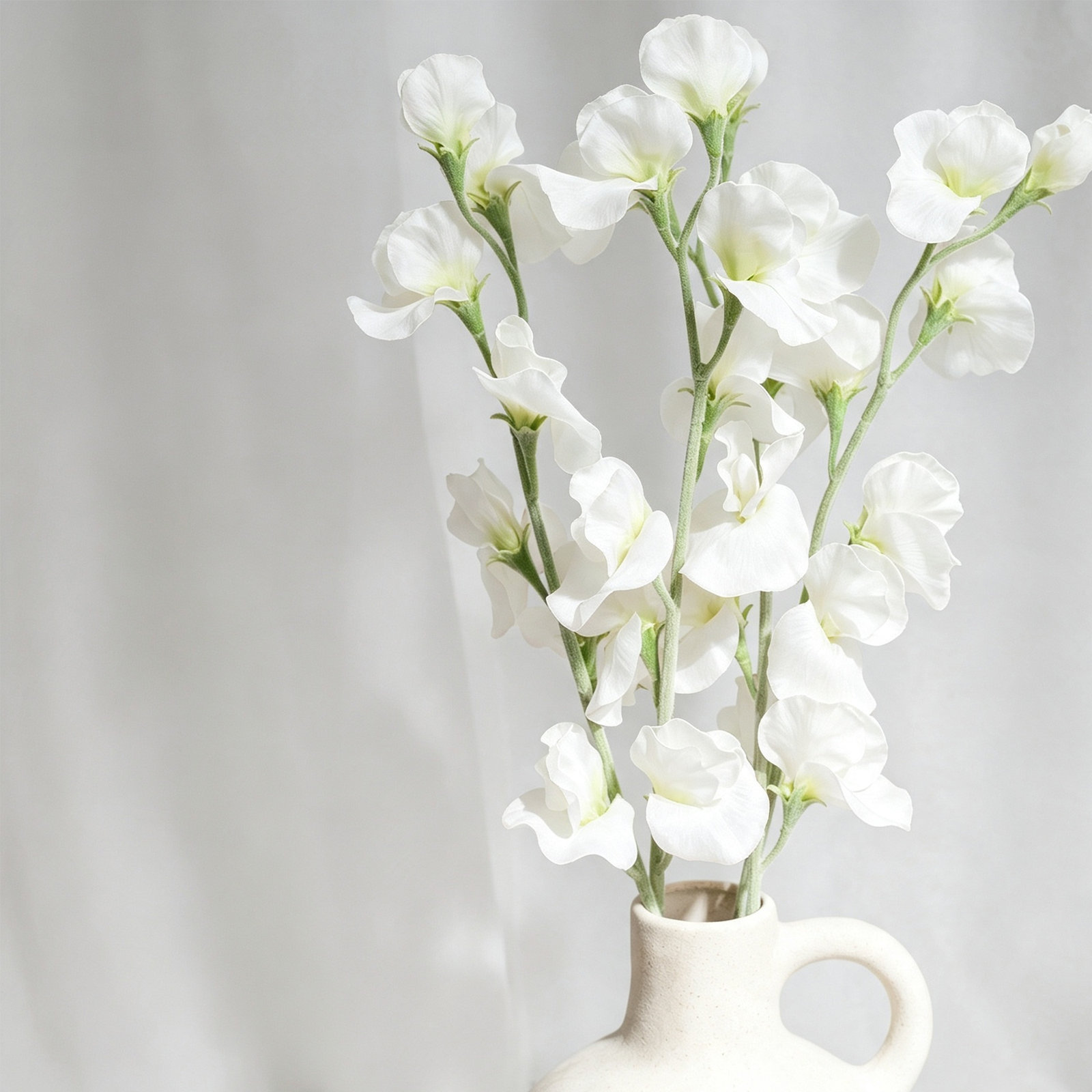 Audet Sweet Pea Stems, Creamy White
