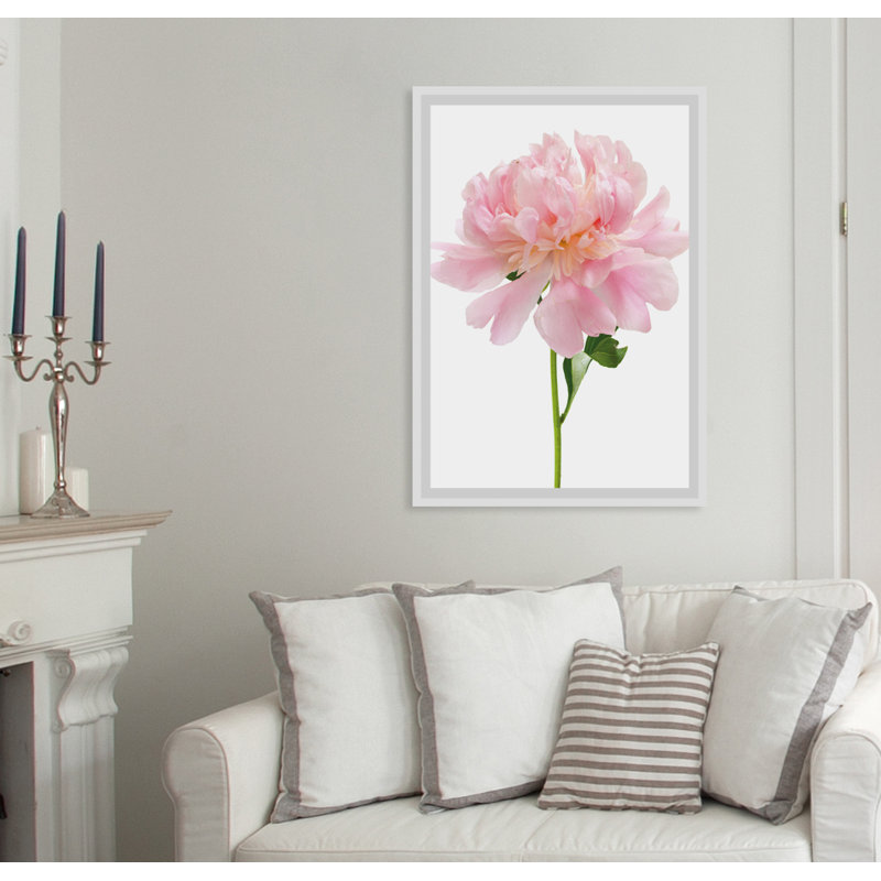 Rose - Single Picture Frame Print