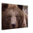 Brown Bear Print - Wildlife Animal Wall Art - Bear Illustration Canvas Poster - Forest Nature Artwork - Rustic Cabin Lodge Decor - Scenic Animal Wall Hanging - Modern Home Decoration Art Print-1321617293-1324241378