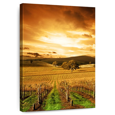 Alvord Autumn Sunset Vineyard