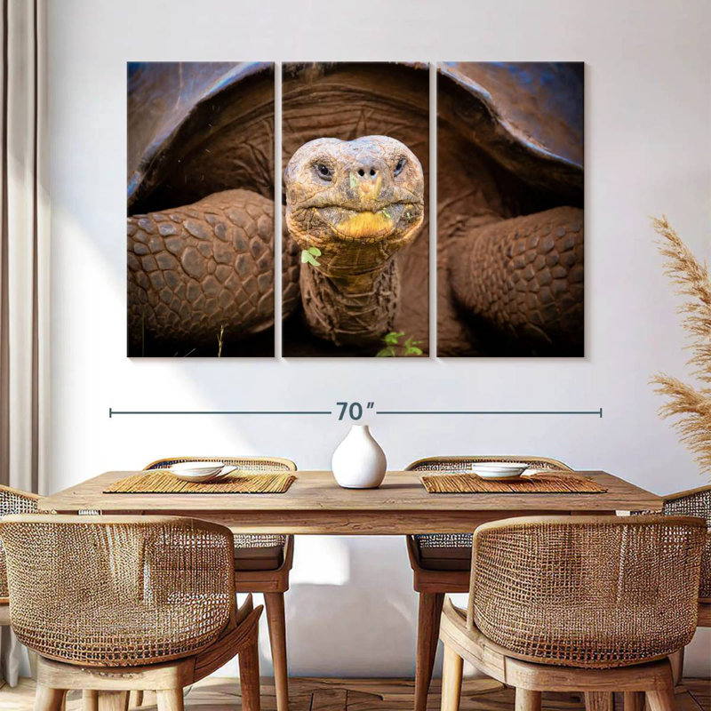 Brampt Galapagos Tortoise, 36" H x 57" W