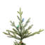 Itasca Frasier Christmas Tree with LED Multi-Colored Lights with Stand-1983552970