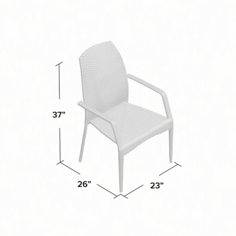 Ensemble de 2 chaises d'extérieur en osier