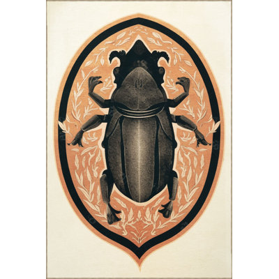 Washable Dido Collection Beige Black Ethnic Insect Patterned Creative Vintage Decorative Area Rug