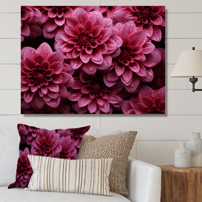Pink Chrysanthemums Gardens Collage IV - Chrysanthemums Wall Art