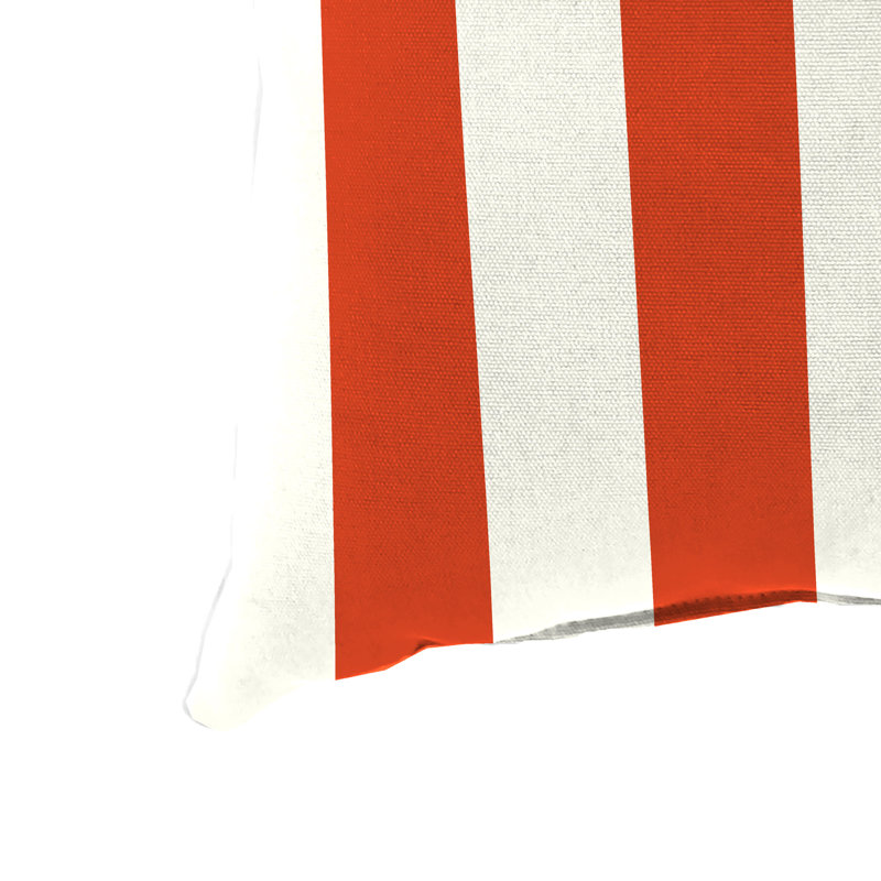 16" x 16" Outdoor Throw Pillow, Congo Stripe Gourd