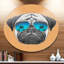 Alfaro rigolo avec lunettes bleues - impression d'art graphique-35105127-35105132