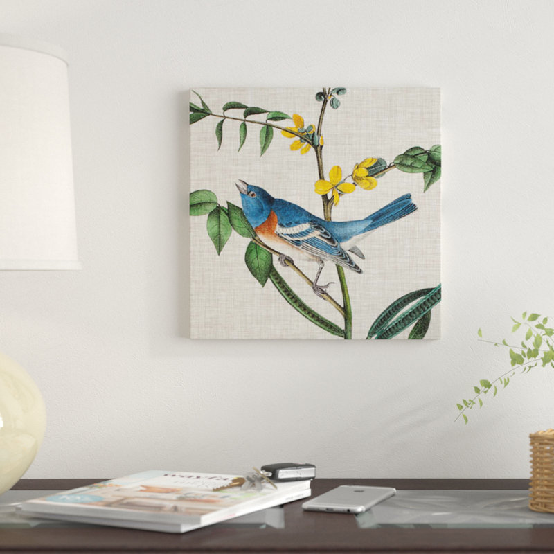 « aviaire crop viii », reproduction d’impression sur toile, H 18 po x l 18 po x P 1,5 po, Toile avec cadre noir, Pas de tapis