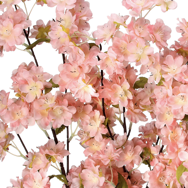 Arrangement de fleurs de cerisier, Rose
