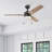 Elamin 48'' Ceiling Fan with LED Lights