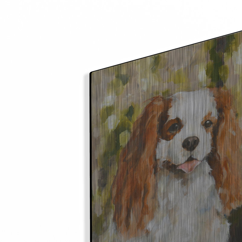 «Cavalier King Charles» par Solveiga