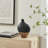 Masanari Canteen Asymmetrical Modern Two Tone Tabletop Vase - Black And Walnut
