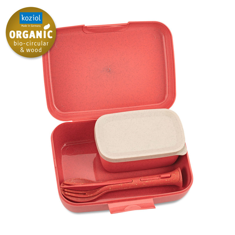 CANDY Food Storage Container, Nature Coral
