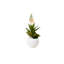 Agave Succulent Arrangement in White Ceramic Sphere