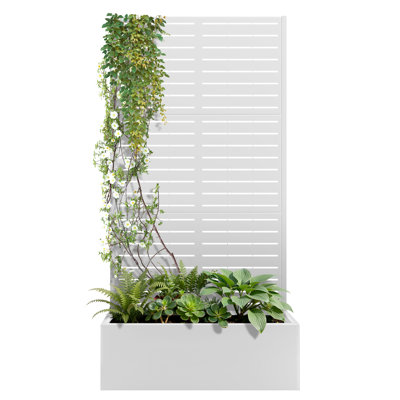 Metal Planter Wall with Trellis, Raised Garden Bed with Trellis and Privacy Screen, Outdoor Planter Box with Drainage Holes for Climbing Plants, Vines, Flowers & Vegetables, Garden Privacy Planter