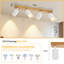 Shanila Spotlight-1813444300