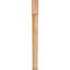 Attelle de genou Legacy-64784812-64751483