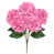 Rose fuchsia