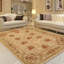 Honeyland Wool Oriental Area Rug in Beige-1937396659