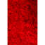 Naya Hand Loomed Area Rug in Red-1686561072