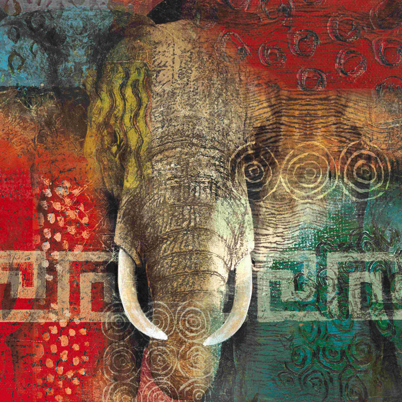 Éléphant sauvage, H 20 po x l 20 po
