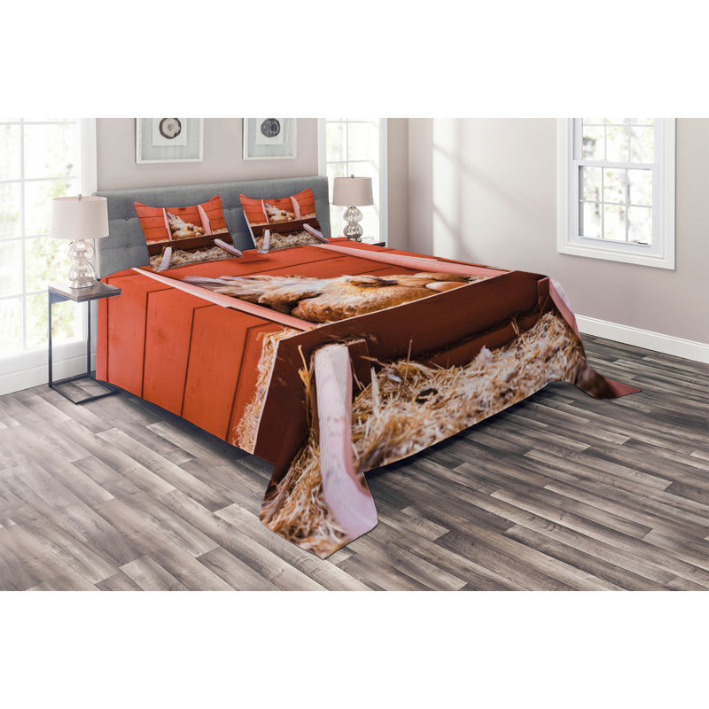 Farmhouse / Country Polyester Coverlet, Queen Bedspread + 2 Shams