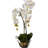 18 " Faux Orchid in Glass Vase