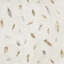 Tuzla Geometric Paper Wallpaper Roll-1469303962