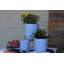 Pot de fleurs-301192161-301192165