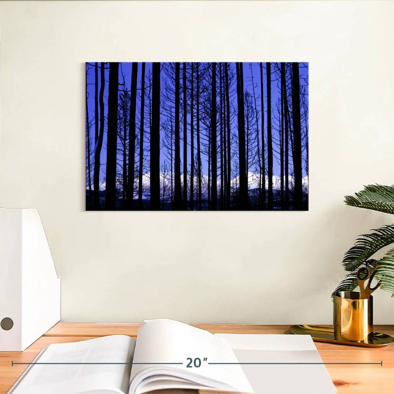 Arbres du parc national Harnek Glacier, H 8 po x l 12 po