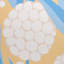Rubus Wallpaper-822616021