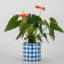 Porcelain Round Planter Pot Blue Checker