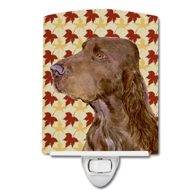 Newfoundland Fall Leaves Portrait Ceramic Night Light