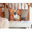 Coussin Colorpoint Shorthair-112679381