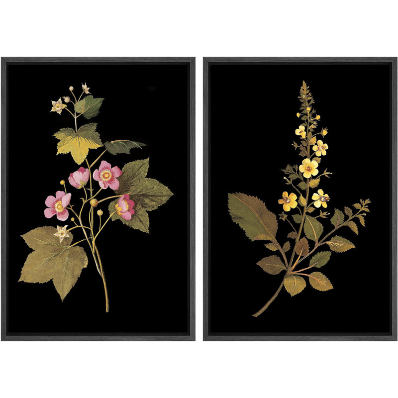 Élégance botanique, floral sur fond noir, nature, illustrations, décor, Noir, H 24 po x l 16 po