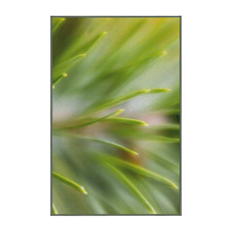 Tapis de surface verte aiguilles, Rectangle 2 pi x 3 pi