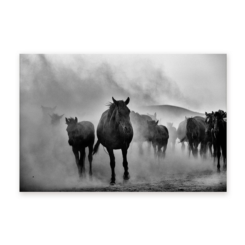 Nature Inspired Untitled by - Picture Frame Photograph on Paper, 16" H x 24" W x 1.5" D, Wrapped Canvas, Does Not Apply