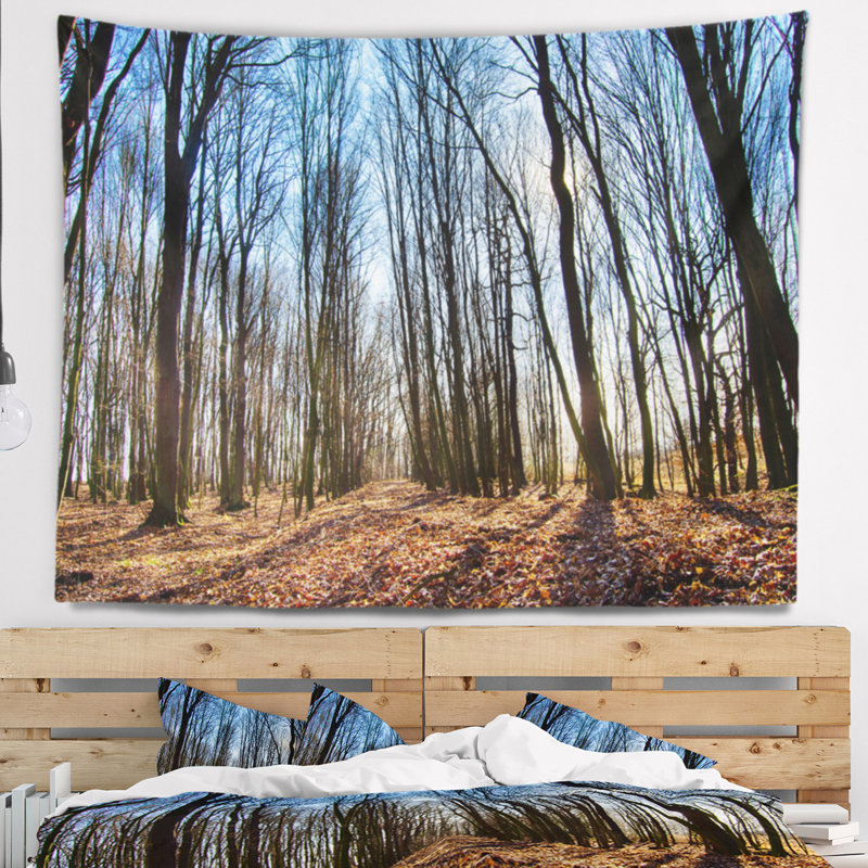 Tapisserie d'arbres sombres dans la forêt au lever du soleil, H 68 po x l 80 po