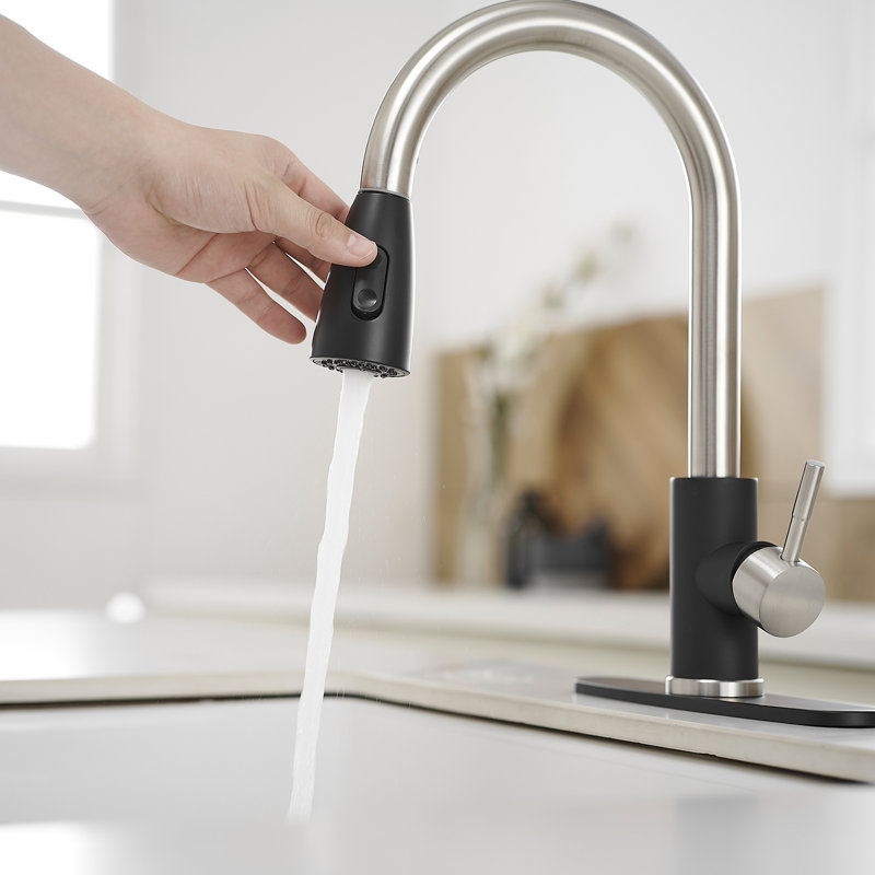 VIBRANTBATH Pull Out Kitchen Faucet, Black/Nickel