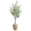 Eucalyptus artificiel en pot-1559011414-1559011415