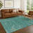 Machine Washable Indoor/Outdoor Chantille ACN2322 Global Rug-1560637380