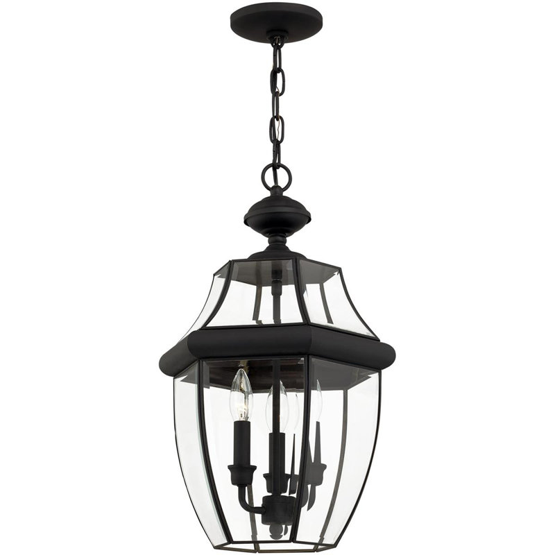 Outdoor Pendant Lighting Fixture with Clear Glass Shade, Black