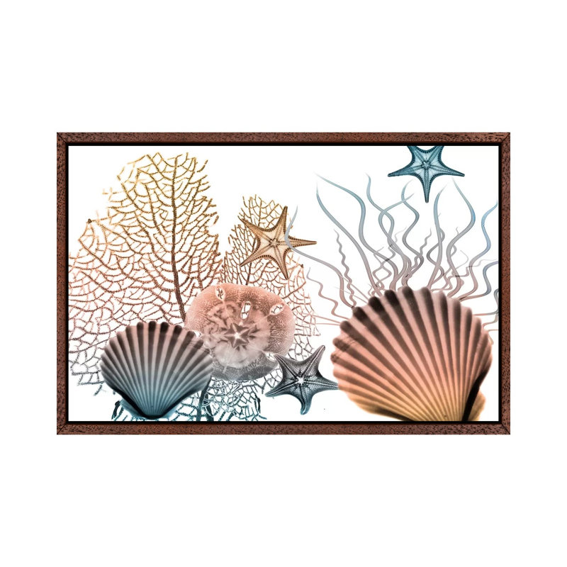 Sea Collective II by Albert Koetsier - Print on Canvas, 45.72cm H x 66.04cm W x 3.81cm D, Classic Brown Wood Framed