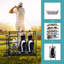 Metal Freestanding Sports Rack