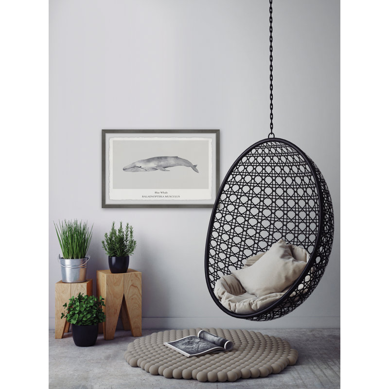 Balaenoptera Musculus by Marmont Hill - Single Picture Frame Painting, 20cm H x 30cm W x 3.81cm D