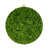 Moss Green