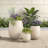 Lightweight Round MGO Outdoor Planter Set-3 Sizes, Durable Flower Pots with Drainage for Indoor and Outdoor Use-1157635493