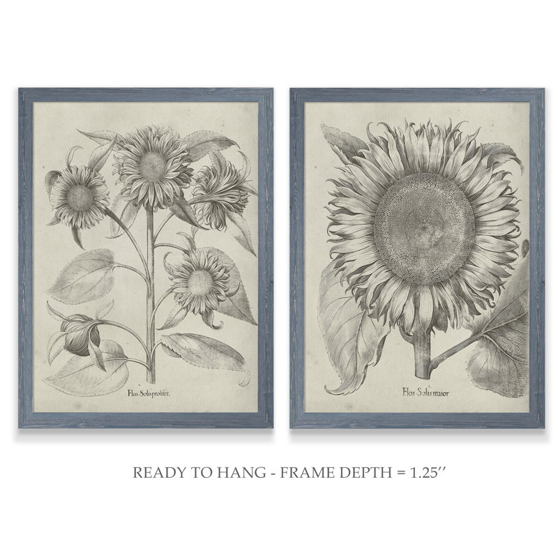 «Fresco Sunflower I», ensemble de 2 reproductions d'art encadrées, H 20 po x l 16 po x P 1,25 po, Toile avec cadre gris